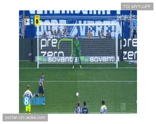 聚勒对阵霍芬海姆比赛中滑倒扭伤膝盖，多特生涯最后一战